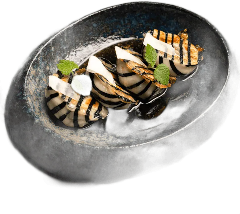 Gyoza in a dark glazed bowl